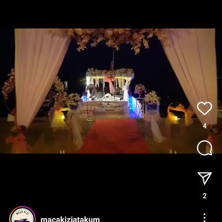 Maca Kizi Yat *